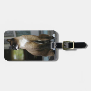 Siamische Katze auf der Porsche Gepäckanhänger