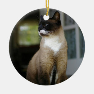 Siamische Katze auf der Porsche Keramikornament