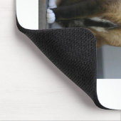 Siamische Katze auf der Porsche Mousepad (Ecke)