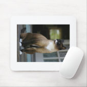 Siamische Katze auf der Porsche Mousepad (Mit Mouse)