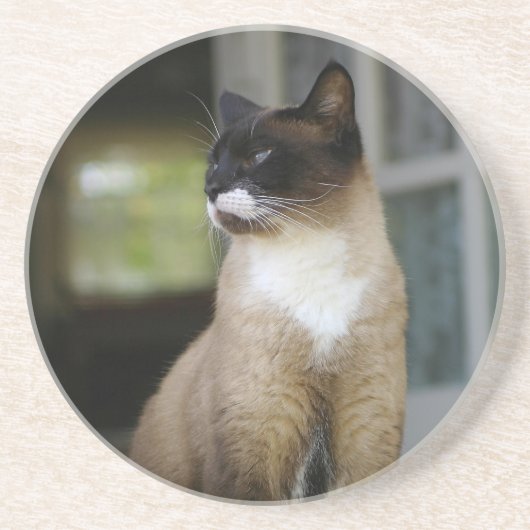 Siamische Katze auf der Porsche Untersetzer (Vorne)
