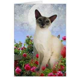 Siamische Katze in Rose