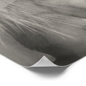 Siamische Katze mit teilweise Farbe Poster (Ecke)