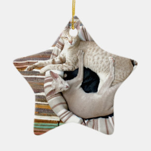 Siamische Katzen nur Chillin! Keramik Ornament