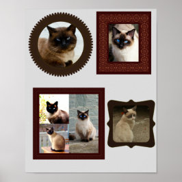 Siamische Katzenfamilie Foto Geschenk Poster
