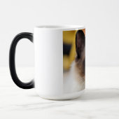 Siamische Kätzin mit schönen blauen Augen Verwandlungstasse (Links)