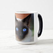 Siamische Kätzin mit schönen blauen Augen Verwandlungstasse (VorderseiteRechts)