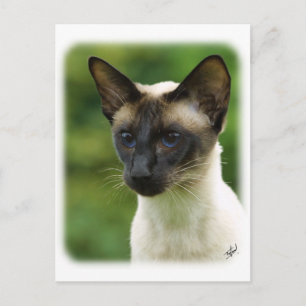 Siamkatze 9W027D-133 Postkarte