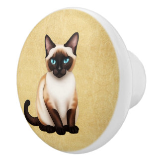 Siamkatze auf altem Papier Keramikknauf