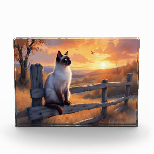 Siamkatze auf Splitterzaun Fotoblock