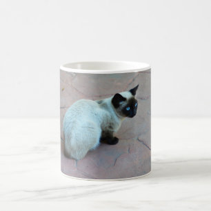 Siamkatze Kaffeetasse