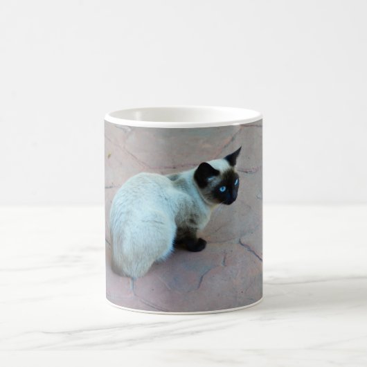 Siamkatze Kaffeetasse (Mittel)