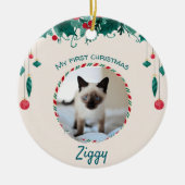 Siamkatze Keramik Ornament (Vorne)