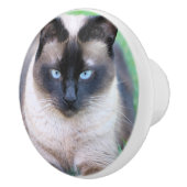 Siamkatze Keramikknauf (Rechts)