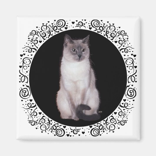 Siamkatze Magnet (Vorne)