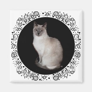 Siamkatze Magnet