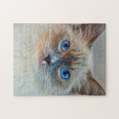 Siamkatze mit blauen Augen Puzzle (Horizontal)
