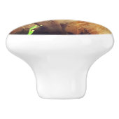 Siamkatze mit Blume Keramikknauf (Seitenansicht)