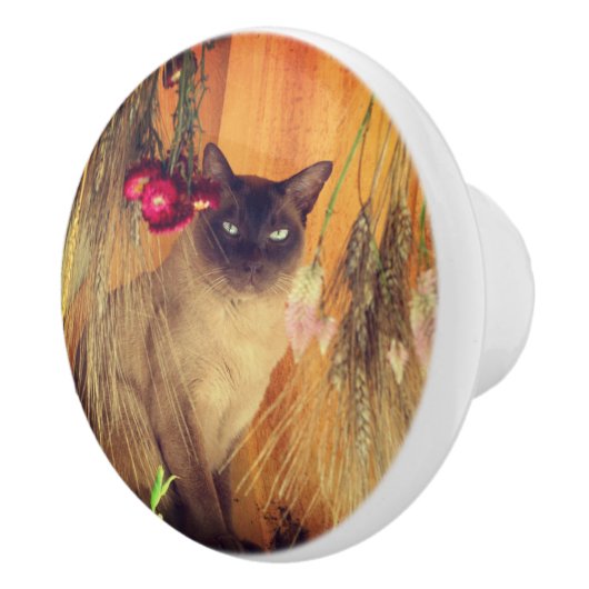 Siamkatze mit Blume Keramikknauf (Rechts)