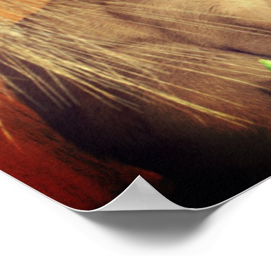 Siamkatze mit Blume Poster (Ecke)