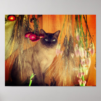 Siamkatze mit Blume Poster