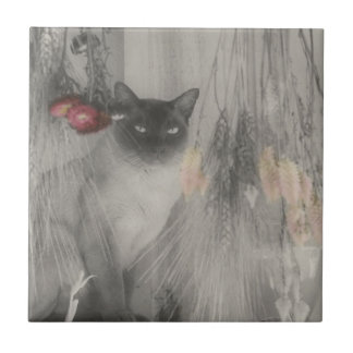 Siamkatze Schwarz-Weiß-Tier Fliese