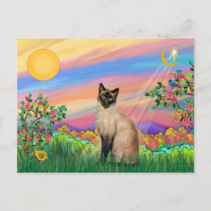 Siamkatze - Tagesstern Postkarte