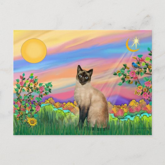 Siamkatze - Tagesstern Postkarte (Vorderseite)