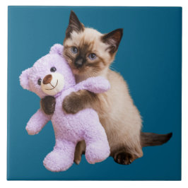 Siamkatze und Teddybären dekorative Tile Fliese