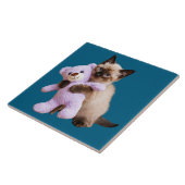 Siamkatze und Teddybären dekorative Tile Fliese (Seite)