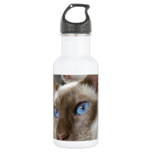 Siamkatzen Haustiere Tiere Edelstahlflasche
