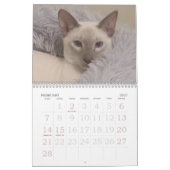 Siamkatzen Kalender (Feb 2027)