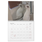 Siamkatzen Kalender (Jan 2027)