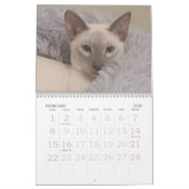 Siamkatzen Kalender (Feb 2026)