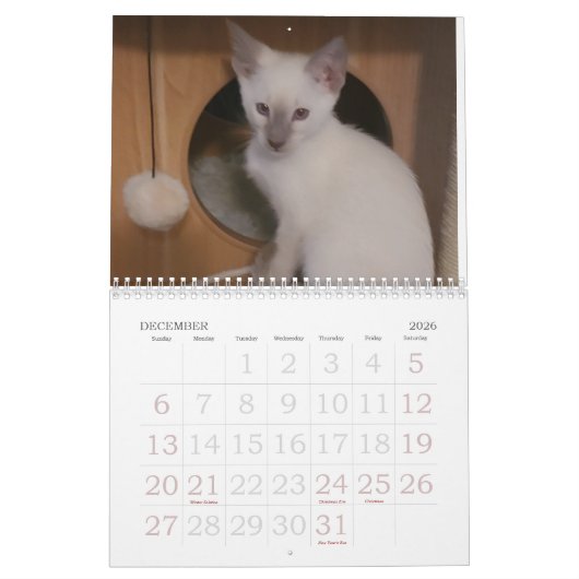 Siamkatzen Kalender (Dez 2026)
