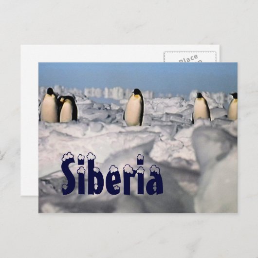 Siberia arctic winter postcard postkarte (Vorne/Hinten)