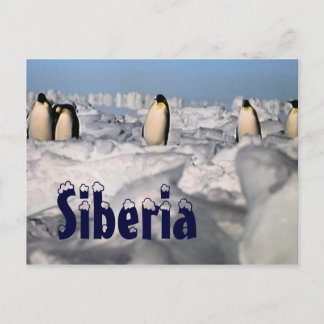 Siberia arctic winter postcard postkarte