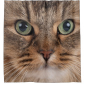 Siberian Cat Face Shower Curtain Duschvorhang (Vorderseite)