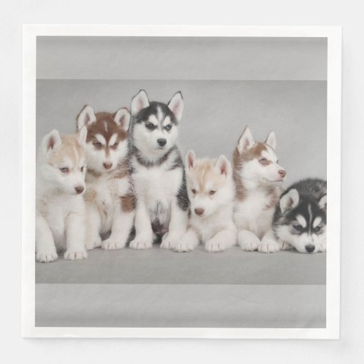 Siberian Huskies Paper Napkins Serviette (Vorderseite)