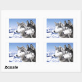 Siberian Huskies Rechteckiger Aufkleber (Blatt)