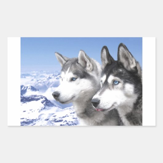 Siberian Huskies Rechteckiger Aufkleber (Vorderseite)