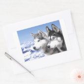 Siberian Huskies Rechteckiger Aufkleber (Umschlag)