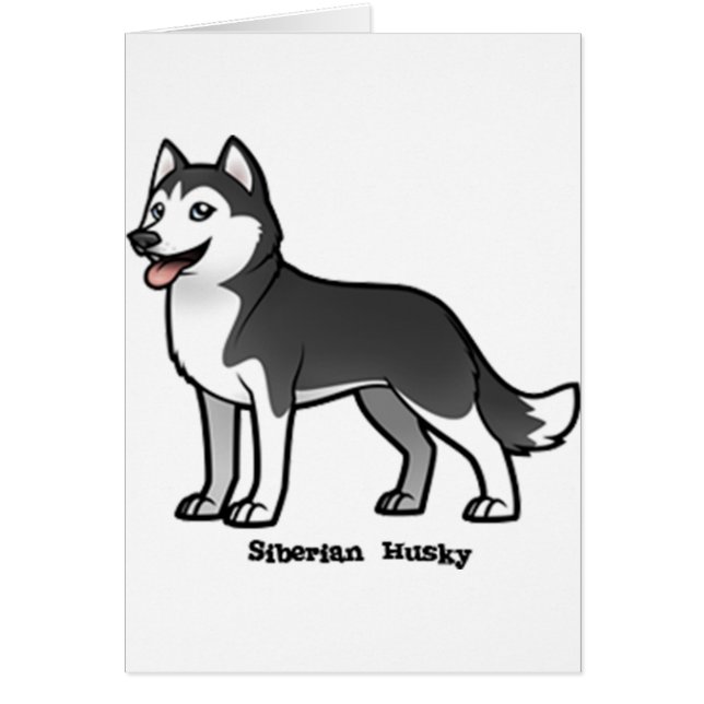 Siberian Husky (Vorne)