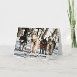 Siberian Husky Abschluss Card Karte