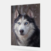 Siberian Husky Acrylschild (Winkel)