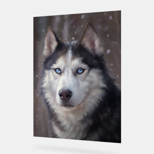 Siberian Husky Acrylschild (Winkel)