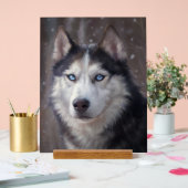 Siberian Husky Acrylschild (Hochzeit)