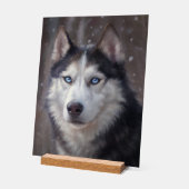 Siberian Husky Acrylschild (Winkel)