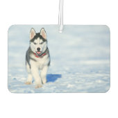 Siberian Husky Air Freshener Autolufterfrischer (Rückseite)