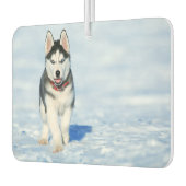 Siberian Husky Air Freshener Autolufterfrischer (Links)
